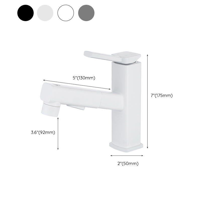 Stylish Lever Handle Kitchen Faucet with Rotating Spout