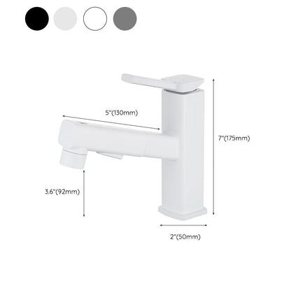 Stylish Lever Handle Kitchen Faucet with Rotating Spout