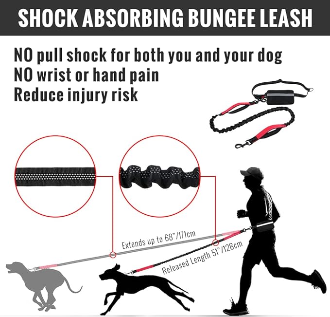 Comfortable No Pull Dog Harness Leash