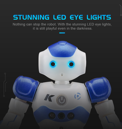 Cool Remote Control Robot Toy