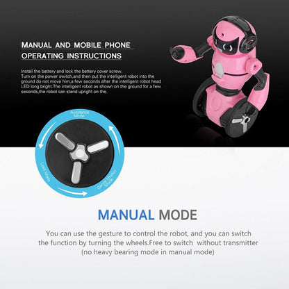 Cool Interactive Balancing Robot Toy