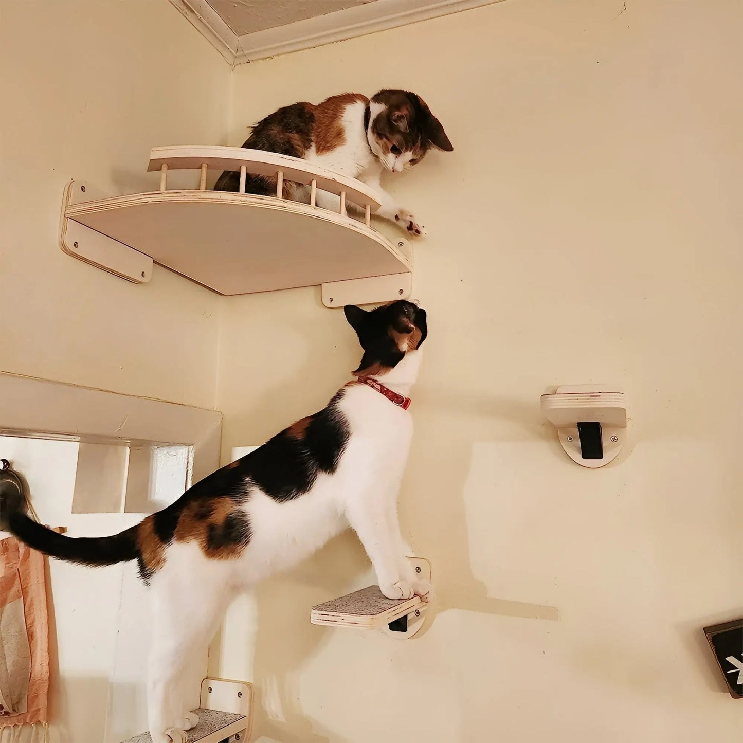 Cat Tower Shelf with Scratch Post