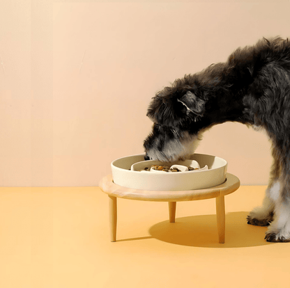 Pet Slow Eating Bowl for Dogs and Cats