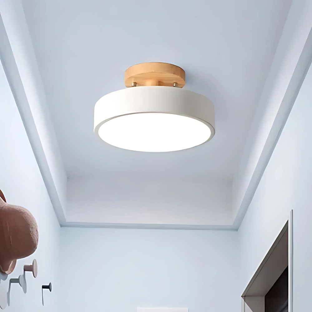 Modern Thin LED Ceiling Lamp