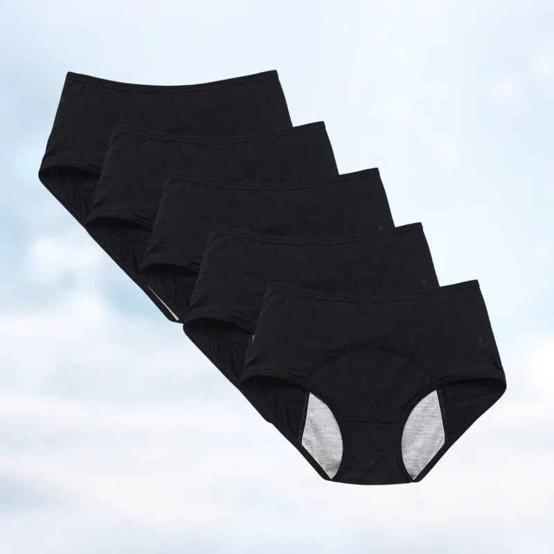 Comfortable Leak Proof Briefs (5 Pack Deal) - Luxicro