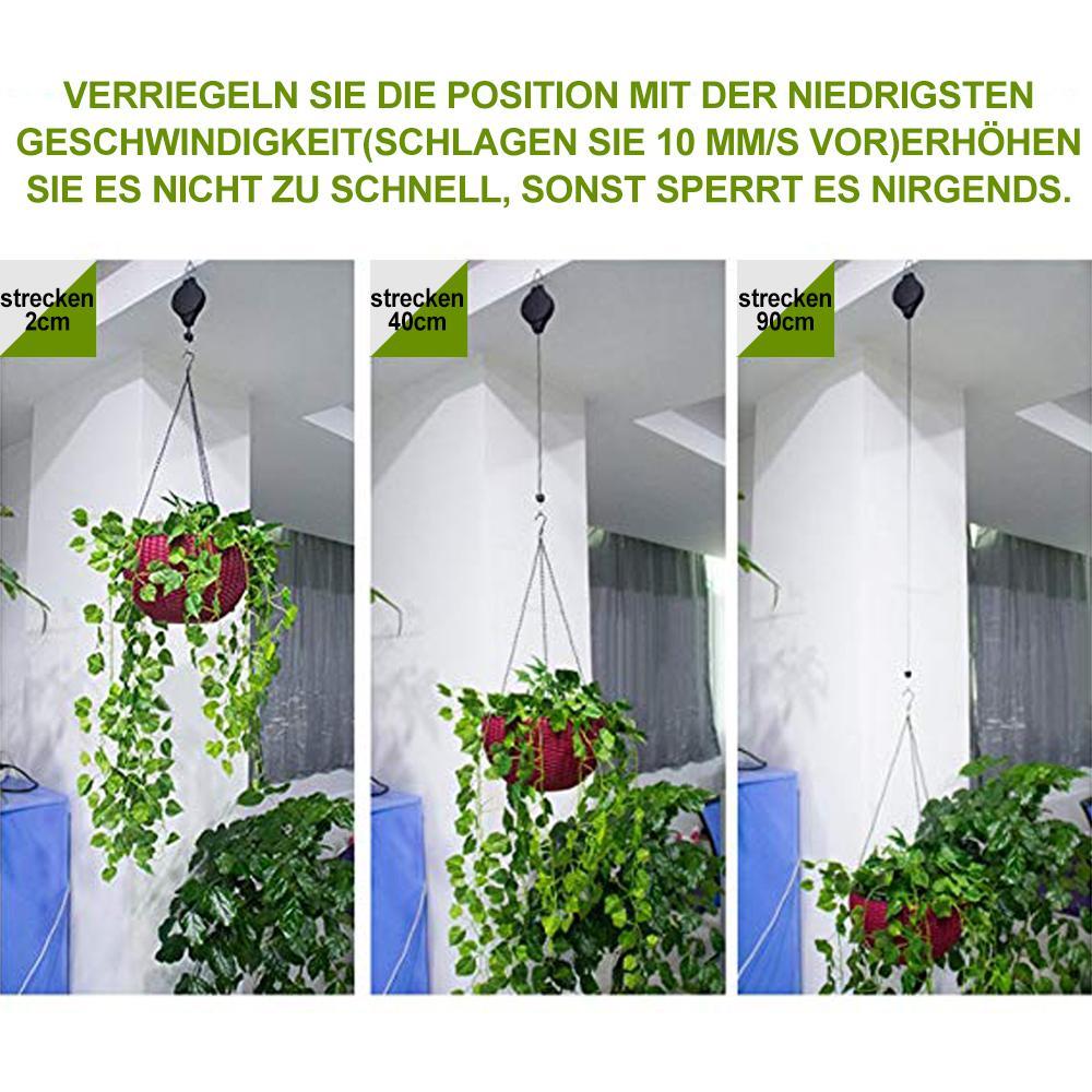 Easy Hang Plant and Bird Feeder Kit
