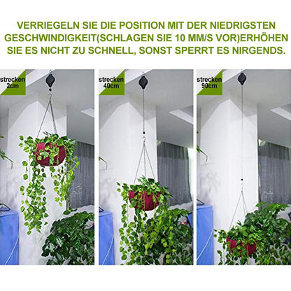 Easy Hang Plant and Bird Feeder Kit