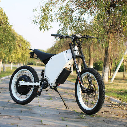 Rugged Off-Road Electric Mountain Bike