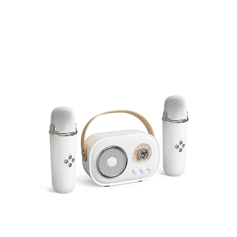 Wireless Karaoke Machine with Bluetooth Microphone
