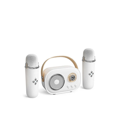 Wireless Karaoke Machine with Bluetooth Microphone