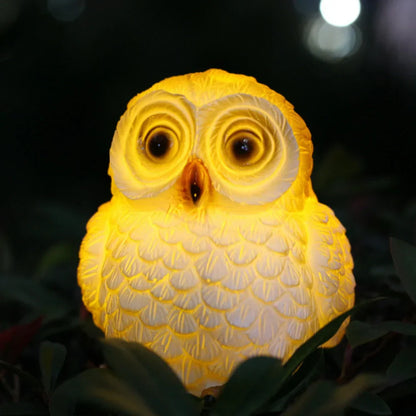 Eco Friendly Waterproof Solar Garden Light