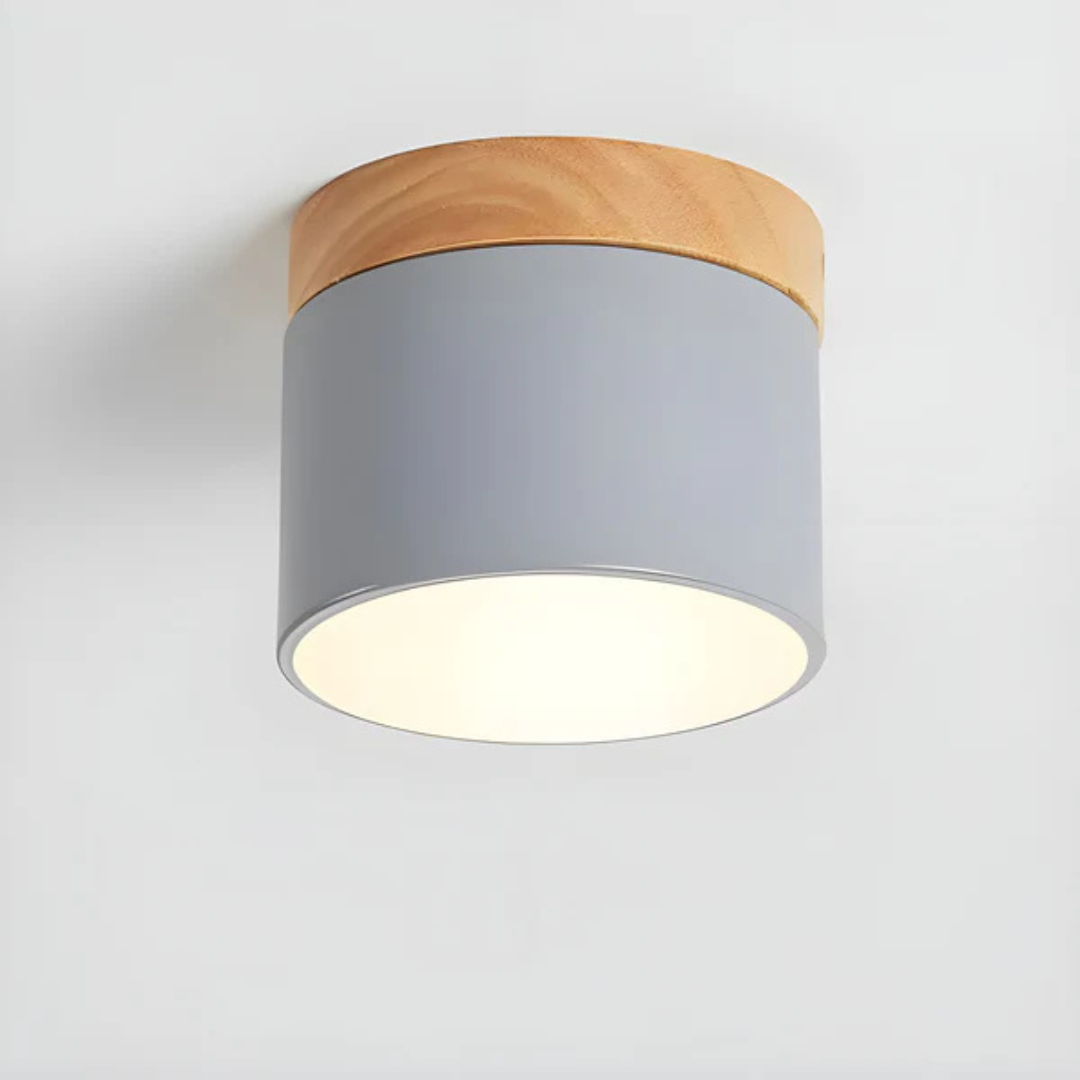 Vintage Look LED Ceiling Lamp