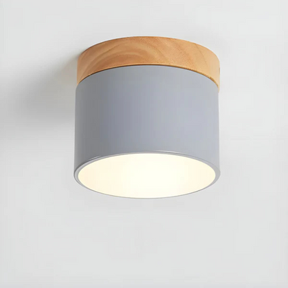 Classic Retro Style LED Ceiling Light