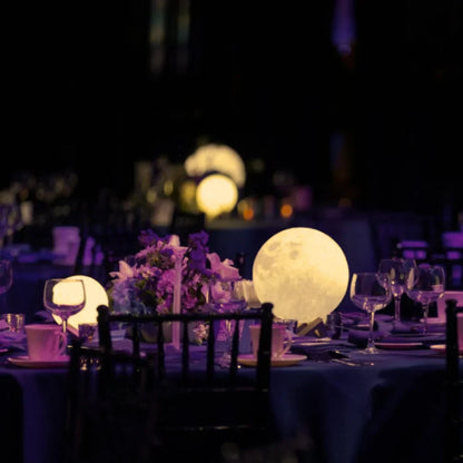 Eco Friendly Garden Moon Light