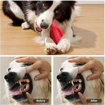 Fun Ball Shaped Dog Chew Toy