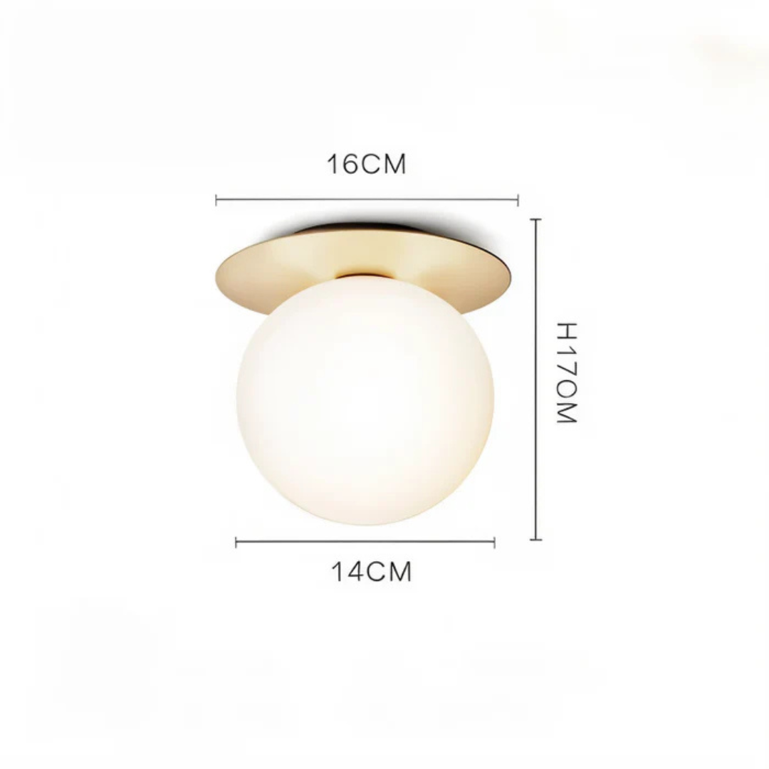 Bright LED Ceiling and Wall Mount Light