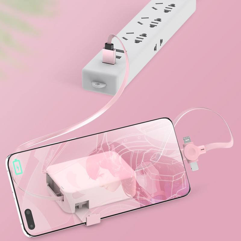 Compact Portable Charging Cord Manager