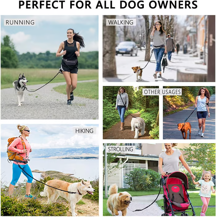 Comfortable No Pull Dog Harness Leash