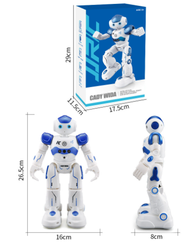 Cool Remote Control Robot Toy