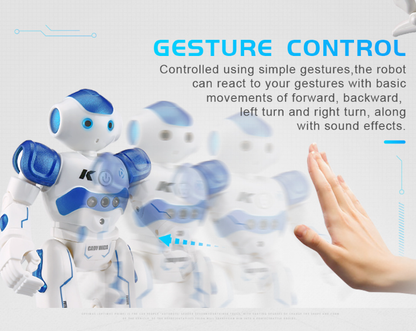 Cool Remote Control Robot Toy