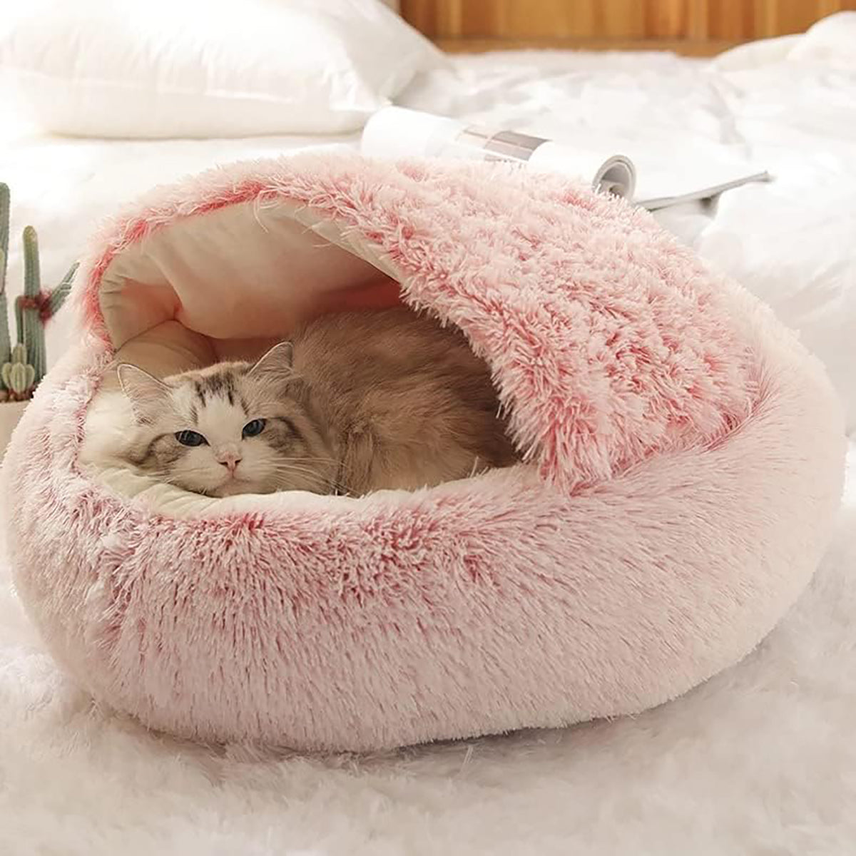 Cozy Pet Bedding for Calm Sleep