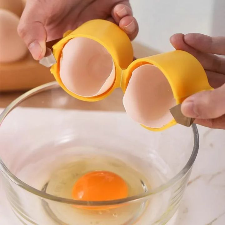 Quick Electric Egg Cooker