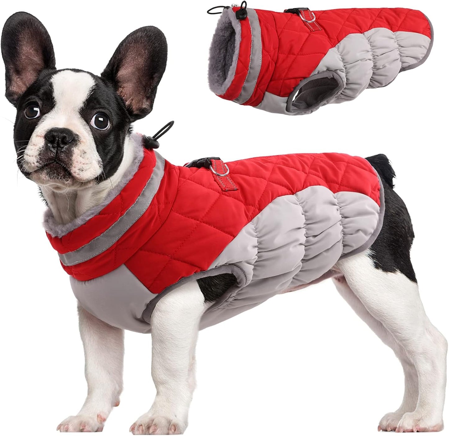 Comfortable Insulated Dog Jacket with Reflective Band