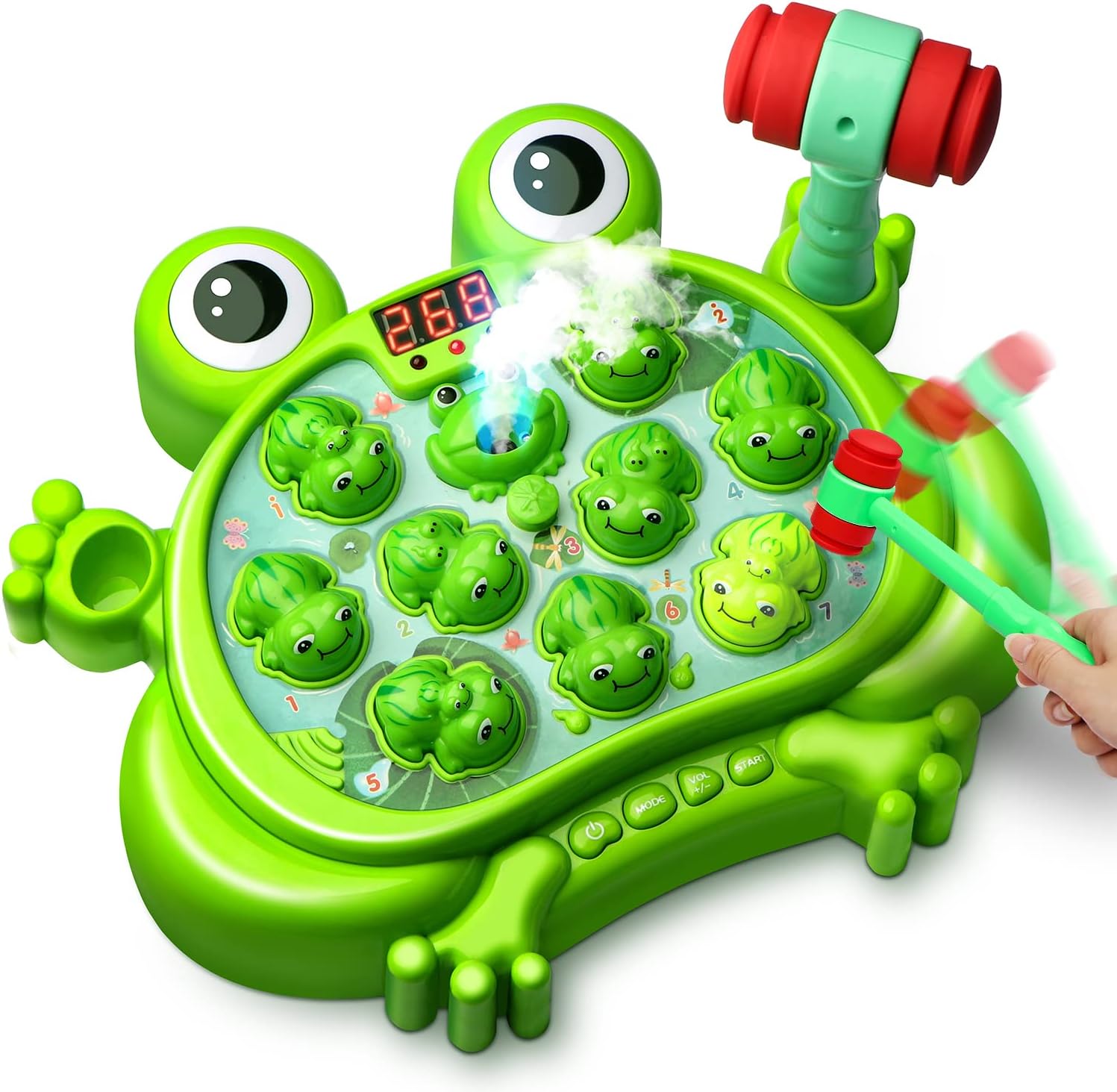 Colorful Learning Frog Figure for Children - Luxicro