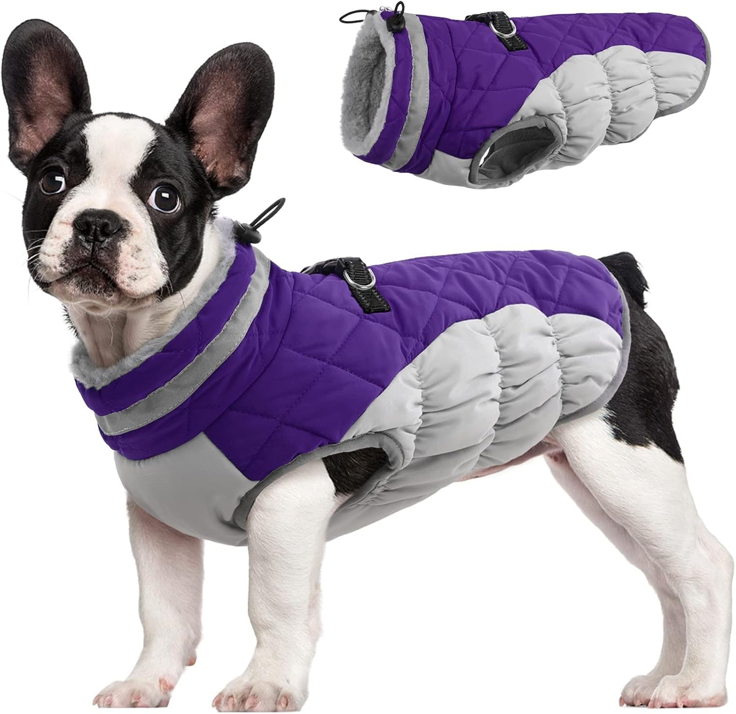 Comfortable Insulated Dog Jacket with Reflective Band