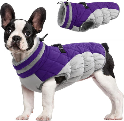 Comfortable Insulated Dog Jacket with Reflective Band