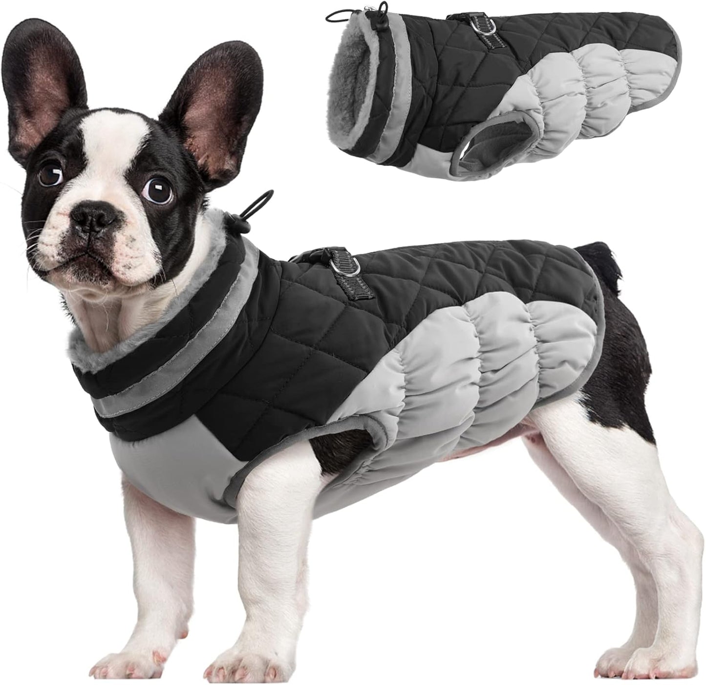 Comfortable Insulated Dog Jacket with Reflective Band - Luxicro