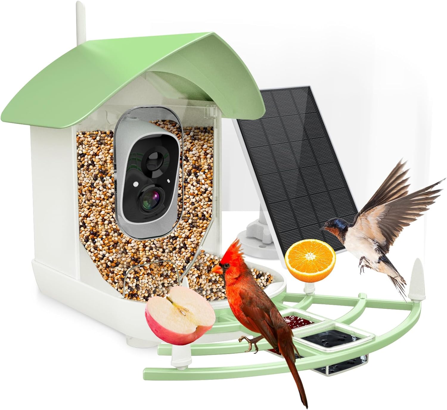 Wireless Birdhouse Security Camera - Luxicro
