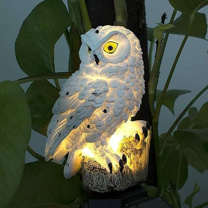 Outdoor Waterproof Solar Lamp