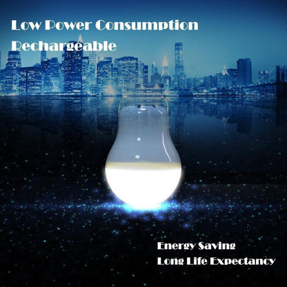 Energy Saving LED Light Bulb for Home and Garden