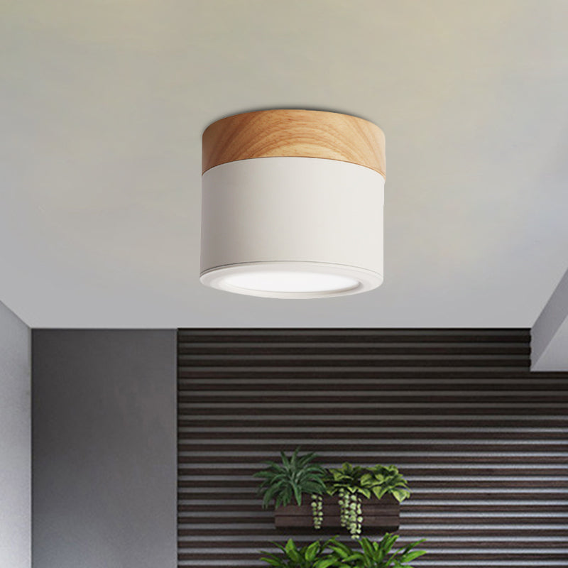 Contemporary Waterproof Ceiling Light