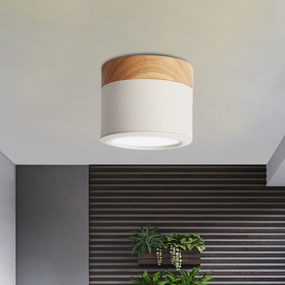Contemporary Waterproof Ceiling Light