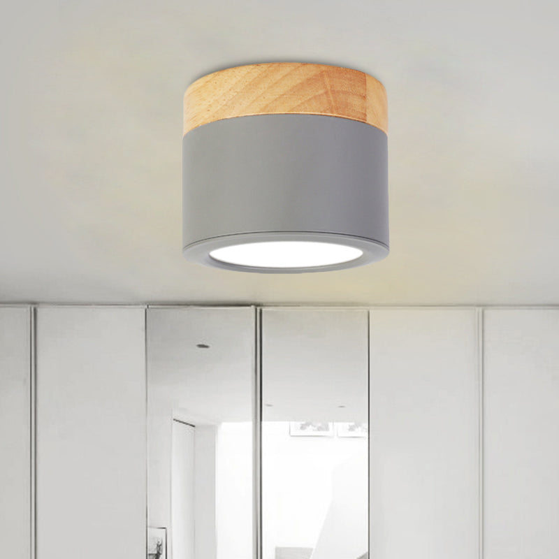Contemporary Waterproof Ceiling Light