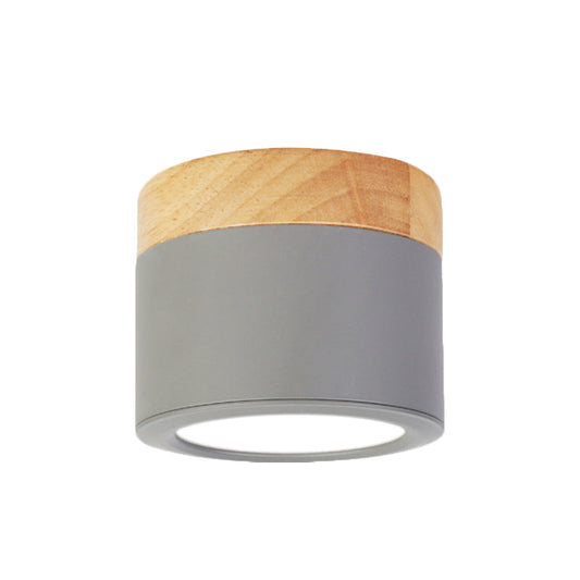 Contemporary Waterproof Ceiling Light - Luxicro