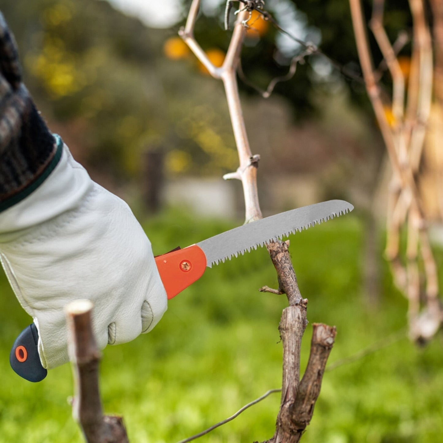 Durable Lightweight Foldable Hand Pruning Saw