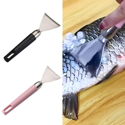 Simple Fish Scale Remover Stainless Steel Scraper