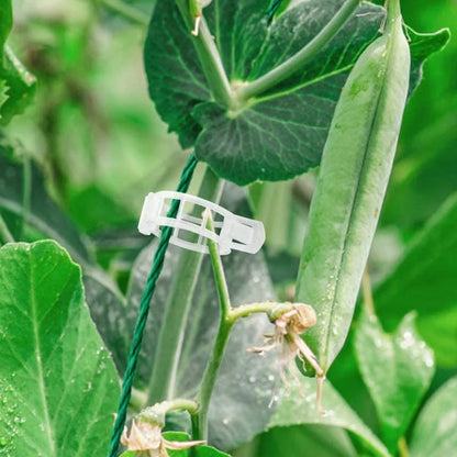 Easy Plant Stem Clip Holder