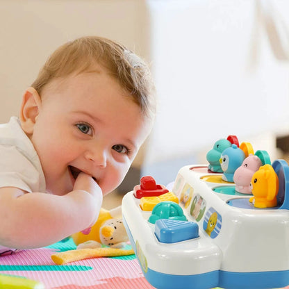 Fun Learning Playset For Kids