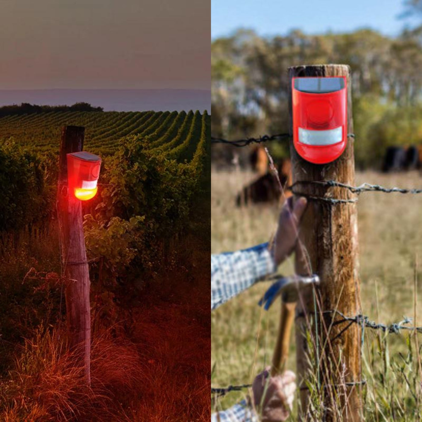 Solar Powered Animal Repellent Lamp