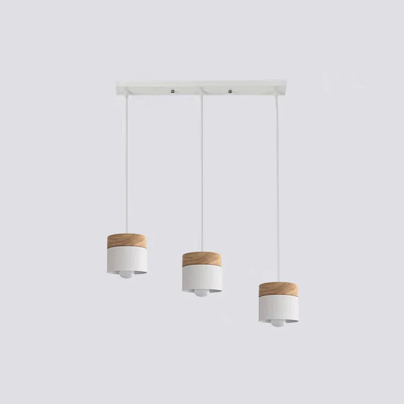 Modern Hanging Light Fixture