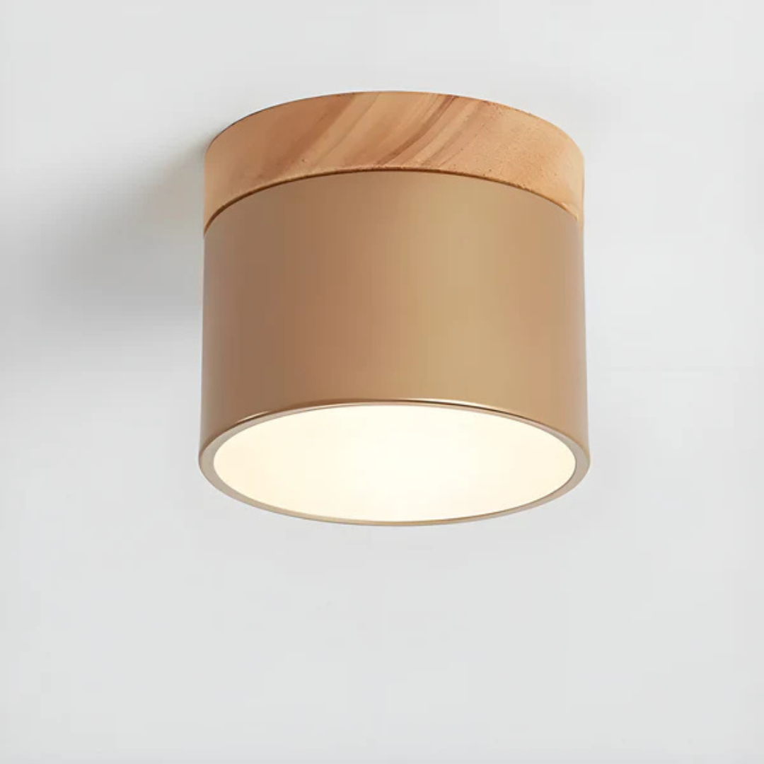 Vintage Look LED Ceiling Lamp
