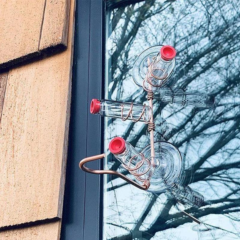 Bird Watching Window Bird Feeder