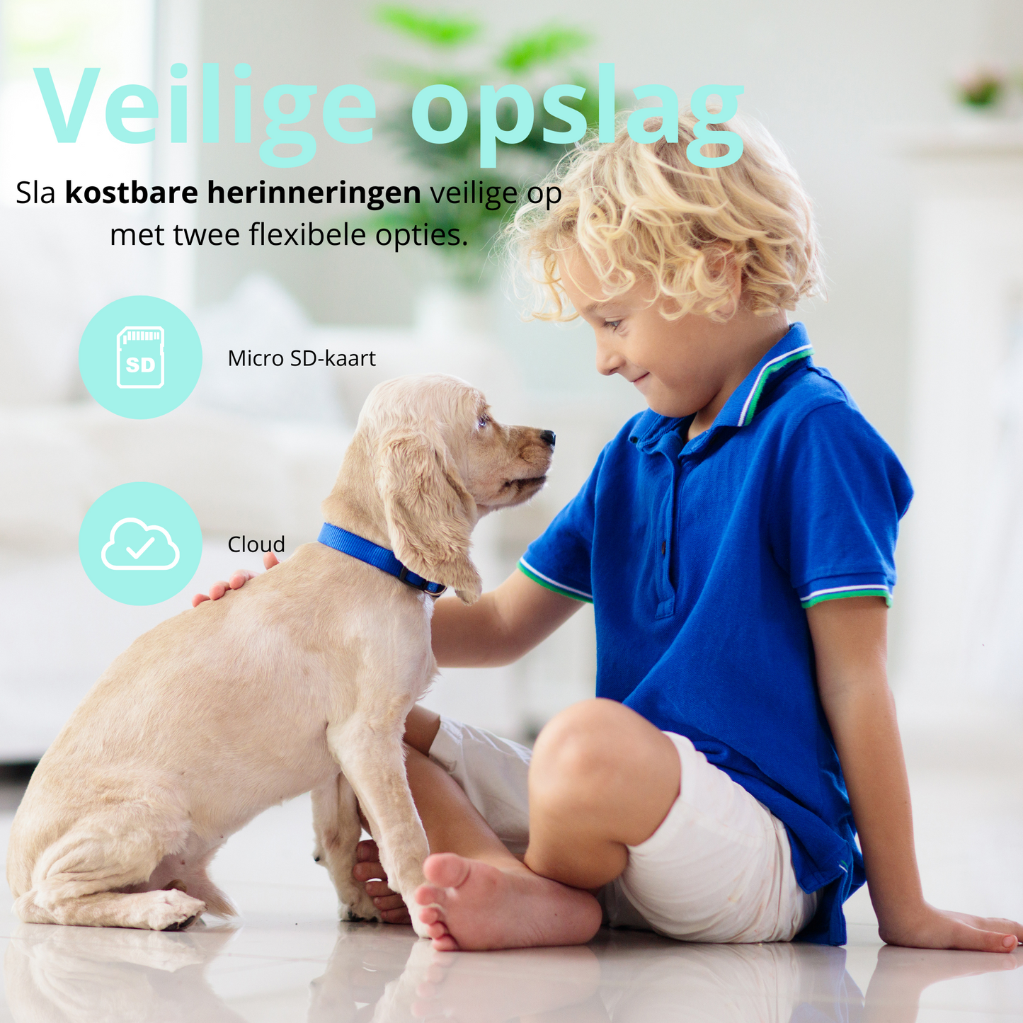 Pet Monitor Smart Pet Camera - Stay Connected