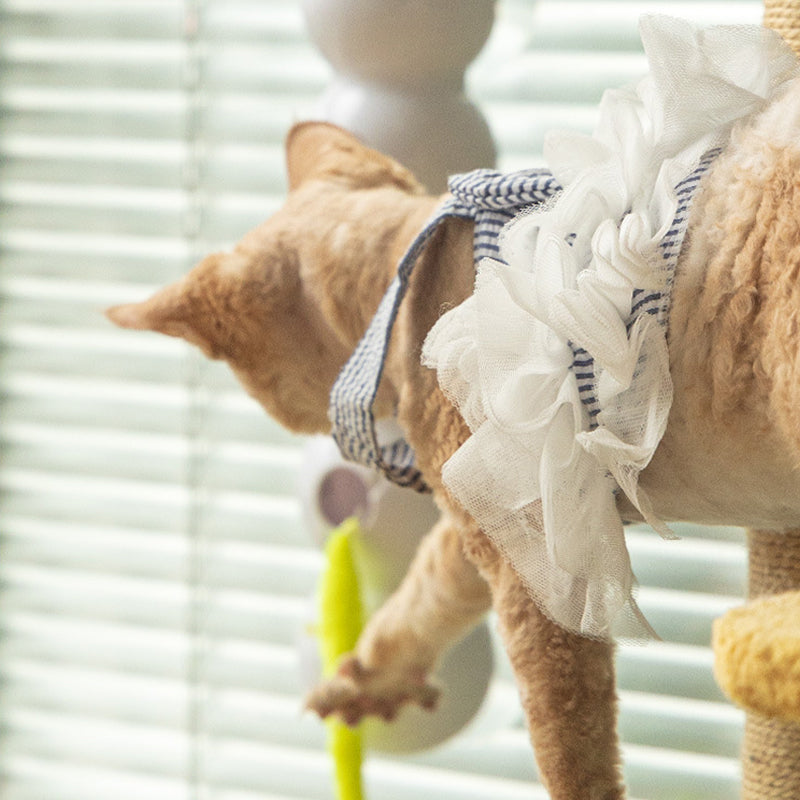 Fun Electronic Cat Toy Worm