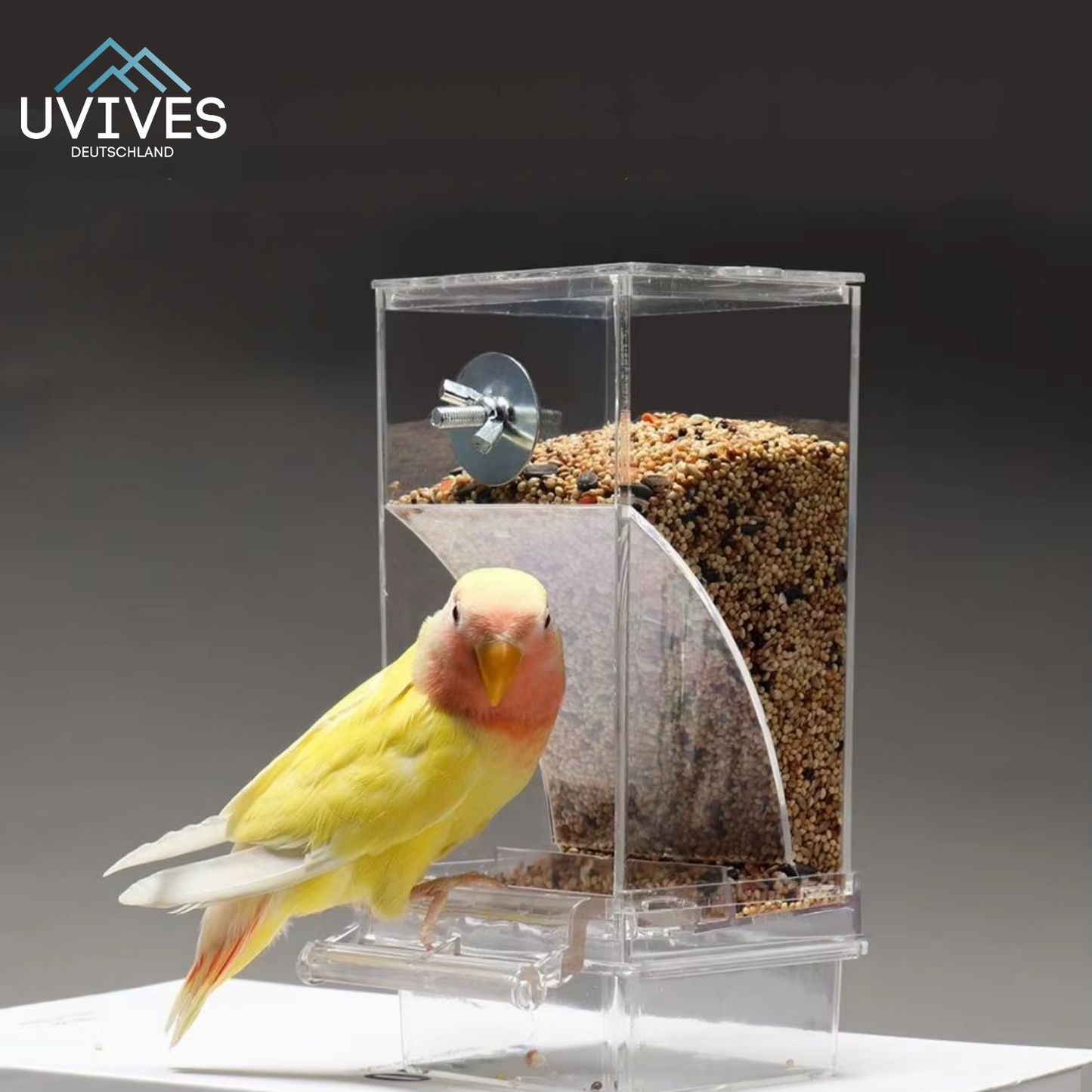 Simple Fill Wild Bird Feeder