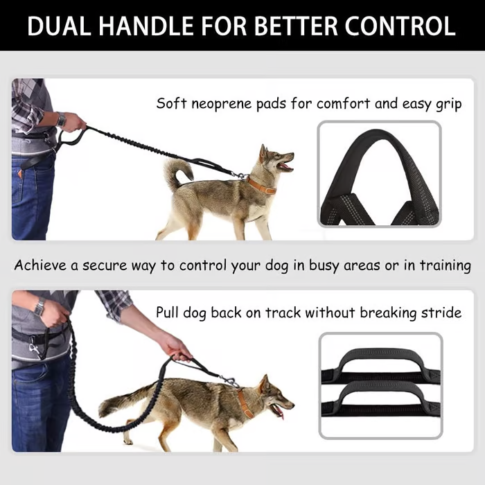 Comfortable No Pull Dog Harness Leash